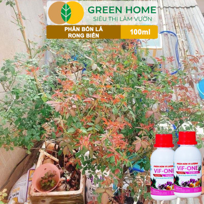 Phân Bón Lá Rong Biển Greenhome, Lavamix, Chai 100ml, Hữu Cơ, Ra Hoa, Đậu Trái, Chắc Hạt, Tăng Khả Năng Ra Đọt