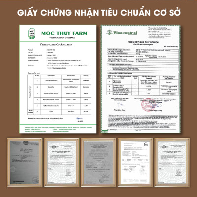 Tinh Dầu Hoa Ly Homer 100ml - Chính Hãng, Đạt Chuẩn Kiểm Định Cao Cấp - Tinh Dầu Xông Thơm Phòng, Thư Giãn, Khử Mùi hiệu quả