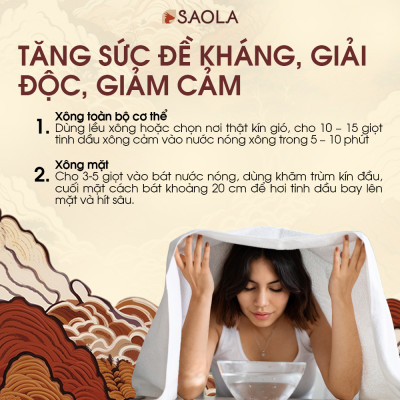 Tinh dầu Xông cảm Nguyên Chất - Làng Hạ - Giải cảm tiện lợi, tăng sức đề kháng, thải độc, lọc không khí - Hàng Chính Hãng