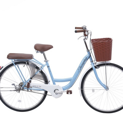 Xe đạp Thống Nhất mini New 24, 26 inch - Phù hợp với người cao từ 1m35 trở lên