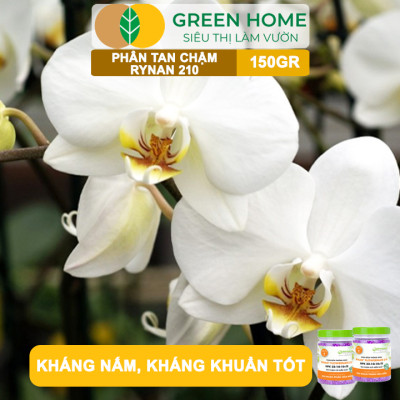 Phân Tan Chậm Greenhome, Rynan 210, Hũ 150gr, Dùng Cho Phong Lan Trưởng Thành, Bonsai, Đủ Dưỡng Chất Cho 120 Ngày