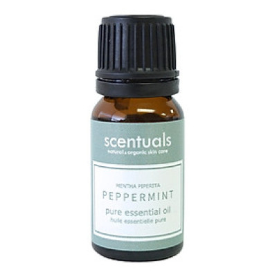 Tinh dầu bạc hà âu - Pure essential oil 10 ml - PEPPERMINT