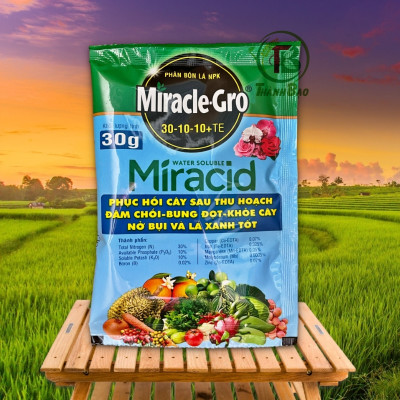 Phân bón lá NPK MIRACLE GRO 30-10-10, phục hổi cây sau thu hoạch, đâm chổi, bung đọt, khoẻ cây, nở bụi, xánh lá tốt