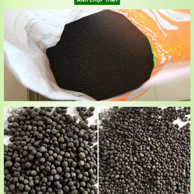 Đá Nham Thạch 2KG + Phân nền S.MEKONG túi 2KG cho hồ thủy sinh
