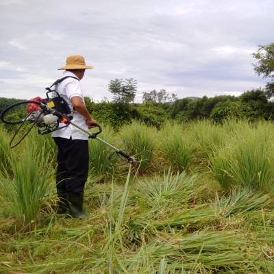 Tinh dầu Sả Huế thương hiệu Làng Hạ 30ml: Dùng để xông phòng, làm sạch không khí, xua đuổi côn trùng