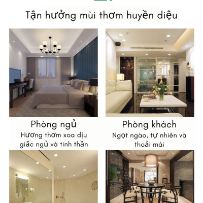 Nến thơm hoa khô thiên nhiên, sáp nến thơm phòng cao cấp giao màu, hình, họa tiết hộp ngẫu nhiên - Nhập khẩu