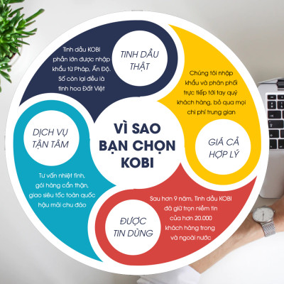 Combo Tinh Dầu Sả Chanh Kobi (50ml) + Tinh Dầu Tràm Gió Kobi (50ml) - Tinh Dầu Thiên Nhiên Nguyên Chất, Giúp Giảm Stress, Xua Đuổi Côn Trùng Và Khử Mùi Hiệu Quả, Thích Hợp Dùng Với Đèn Xông Và Máy Khuếch Tán
