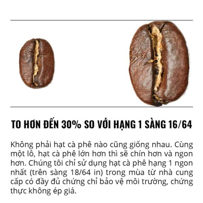 Cà Phê Bột Thunder No.3 Gu Việt Pha Phin/Pha Máy – 1864 CAFÉ trọng lượng tịnh 454g