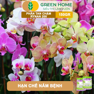 Phân Tan Chậm Greenhome, Rynan 200, Hũ 150gr, Dành Cho Phong Lan Con, Bonsai Kích Chồi, Đủ Dưỡng Chất Cho 120 Ngày