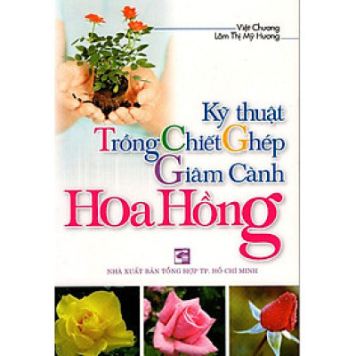Kỹ Thuật Trồng - Chiết - Ghép - Giâm Cành Hoa Hồng
