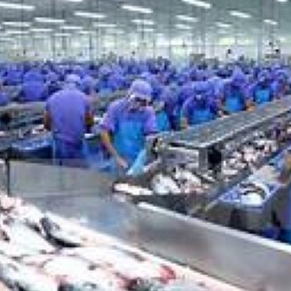 Công Ty Cổ Phần Thủy Sản Nam Việt