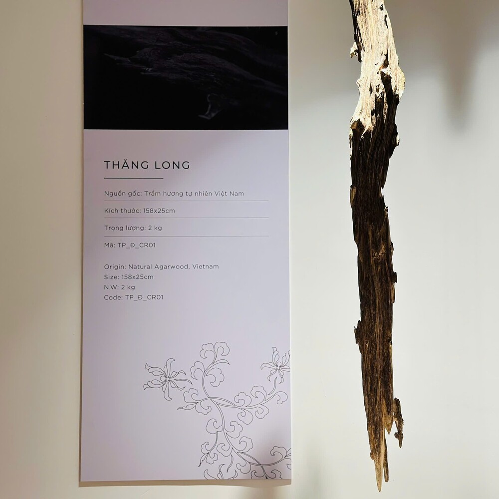 Trầm Cảnh Thăng Long