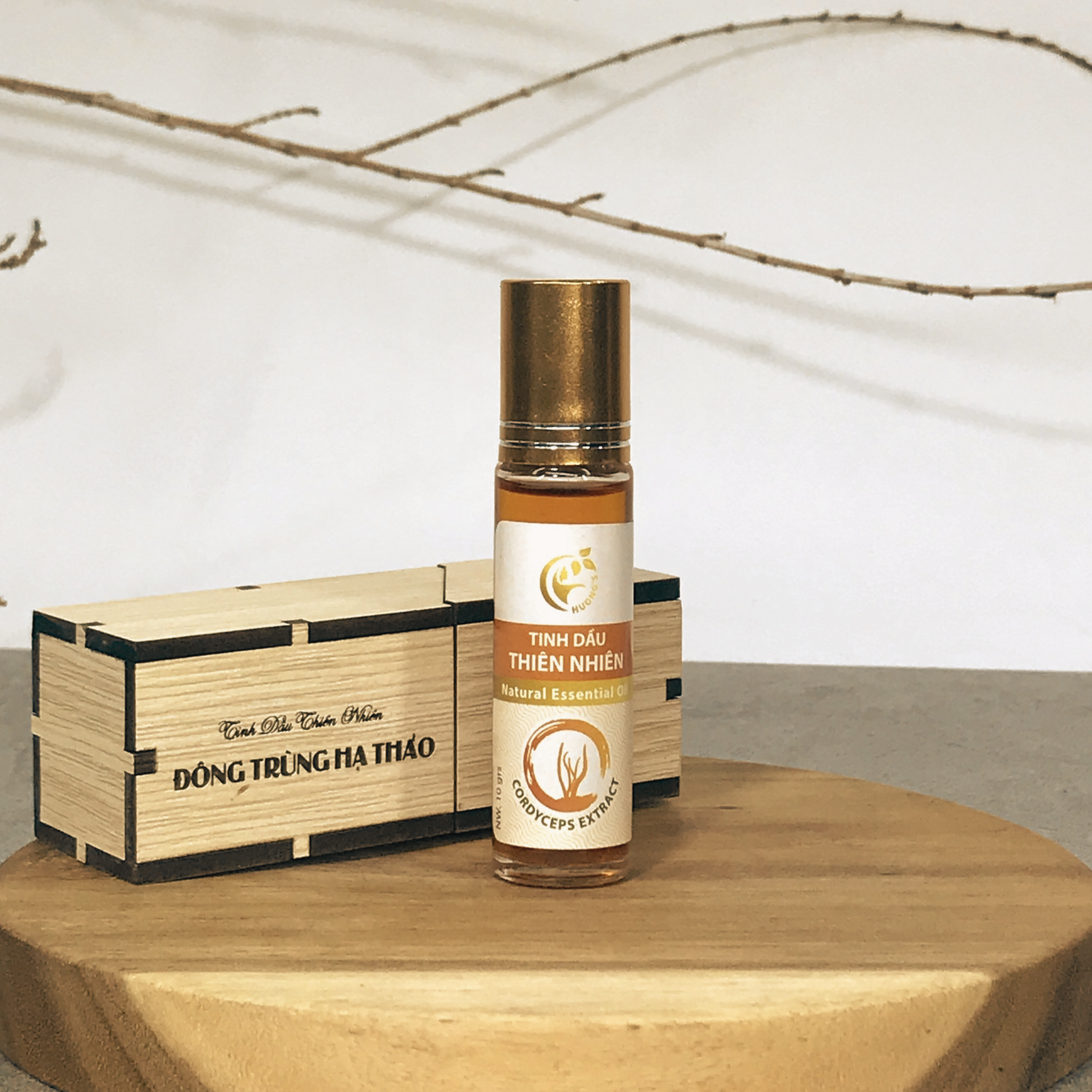 Tinh Dầu Thiên Nhiên Cordyceps Extract: Liệu Pháp Thư Giãn "Bỏ Túi" Cho Người Bận Rộn