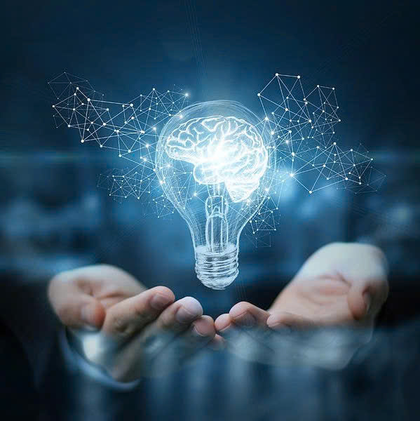 Quyền Sáng Tạo & Bảo Hộ Trí Tuệ – Nền Tảng Cho Giá Trị Bền Vững