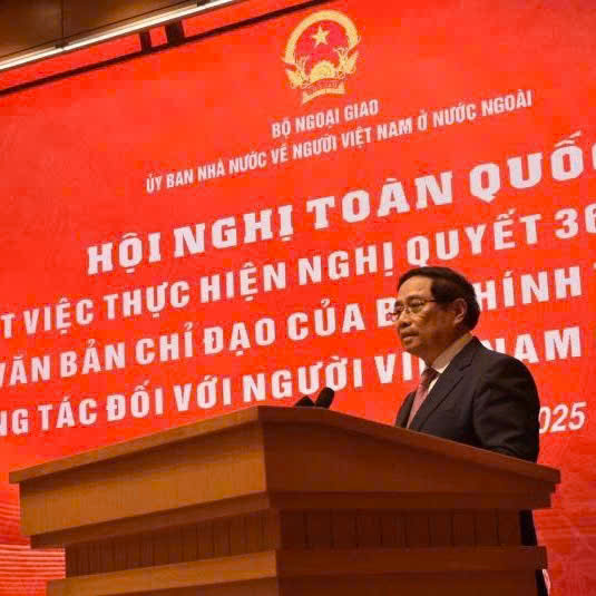 Đẩy Mạnh “3 Đột Phá” Nhằm Nâng Cao Vai Trò Cộng Đồng Người Việt Ở Nước Ngoài