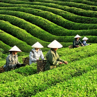 Thái Nguyên Hiện Thực Hóa Khát Vọng Trở Thành Trung Tâm Thương Mại Vùng