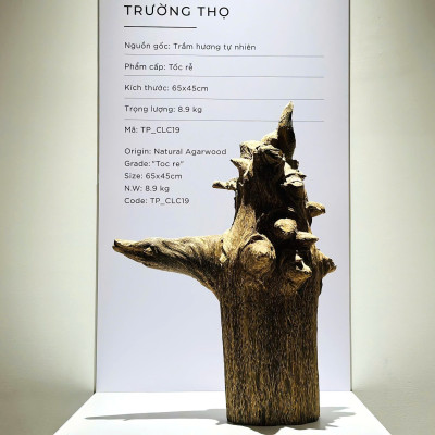 Trầm Cảnh Trường Thọ