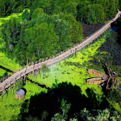 Tra Su Cajuput Forest: Vietnam’s Most Stunning Wetland Eco-Reserve