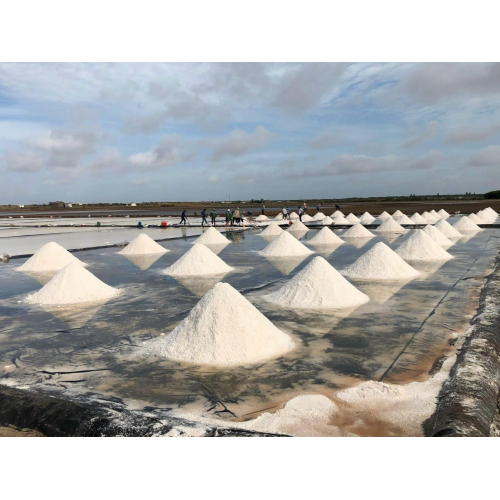 Muối Biển – Linh Hồn Của Nước Mắm Cá Cơm Hải Hương
