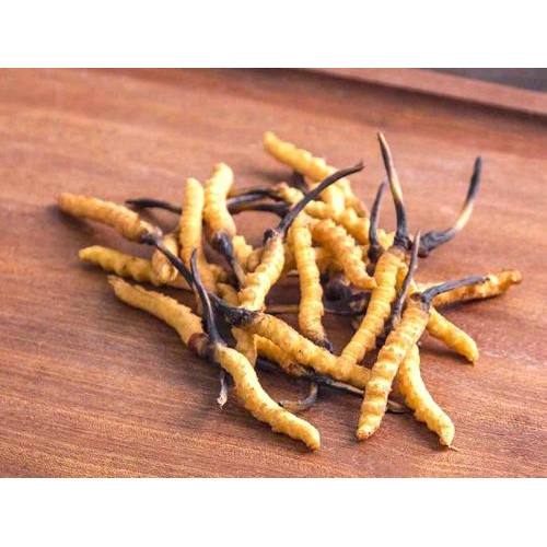 Tác Dụng Y Học