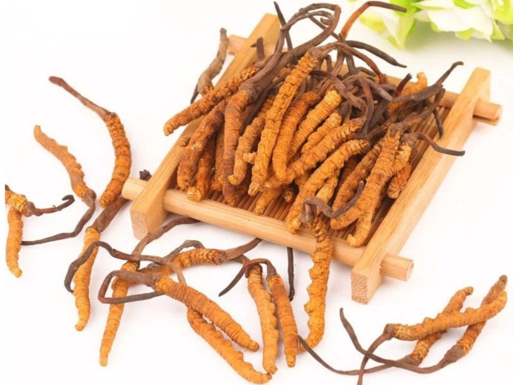 Phân Loại và Tiêu Chuẩn Chất Lượng