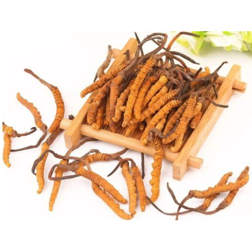 Phân Loại và Tiêu Chuẩn Chất Lượng