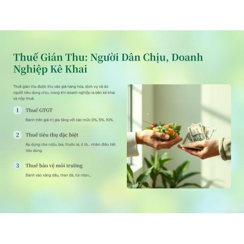 2. Thuế gián thu: người tiêu dùng chịu nhưng doanh nghiệp kê khai