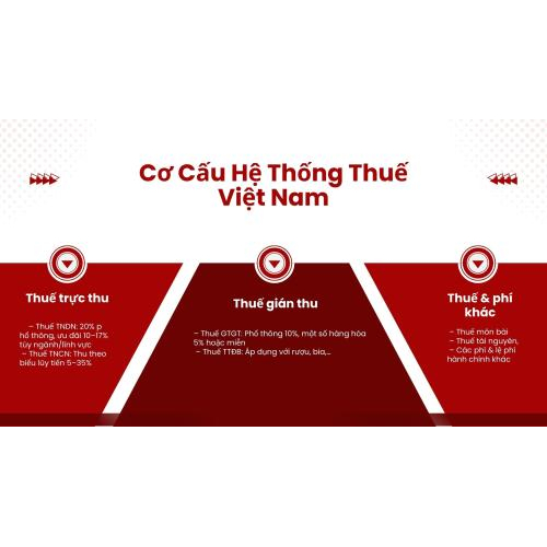 1. Cơ cấu hệ thống thuế Việt Nam
