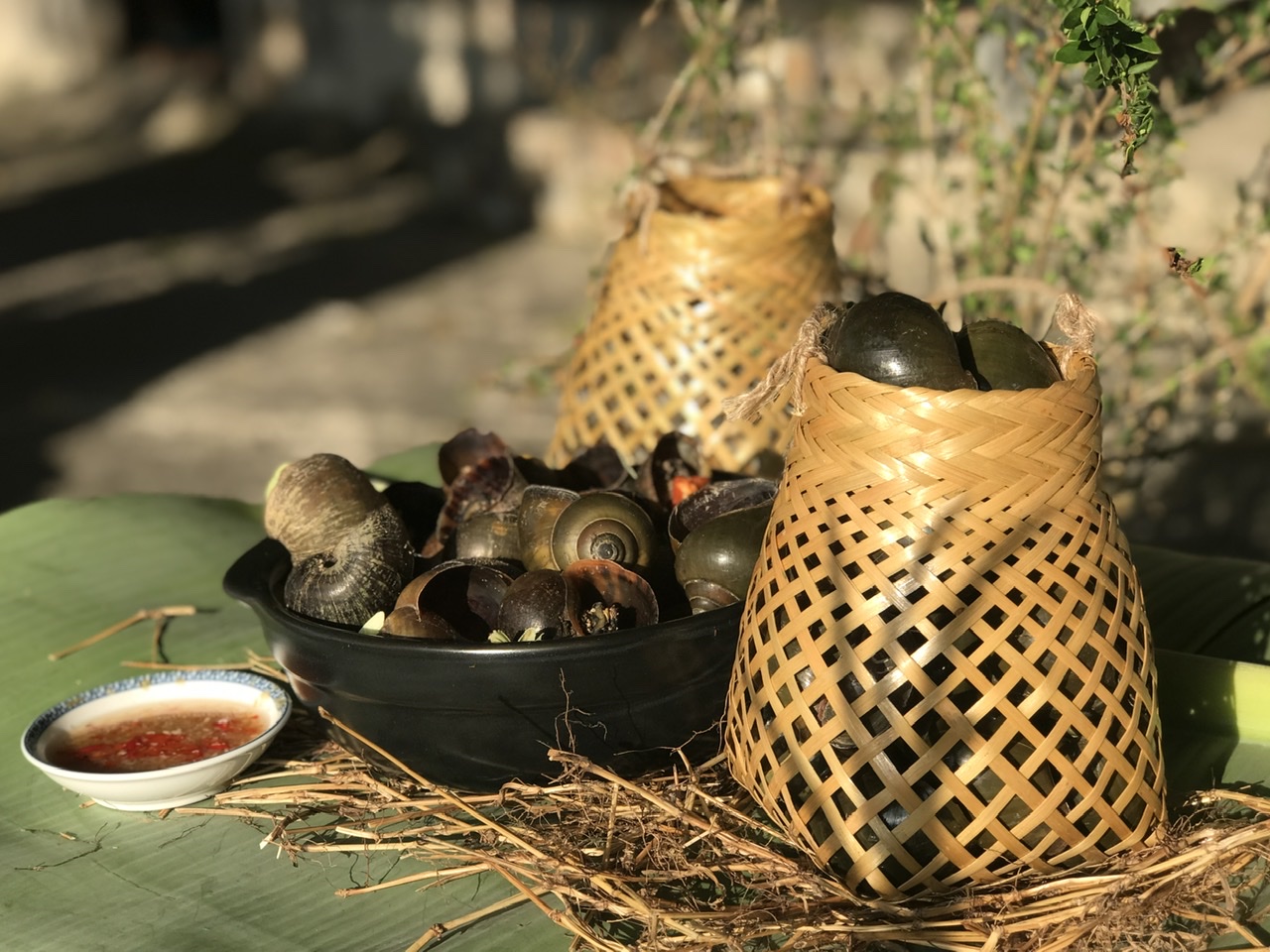 Người có hệ tiêu hóa yếu, tiêu chảy