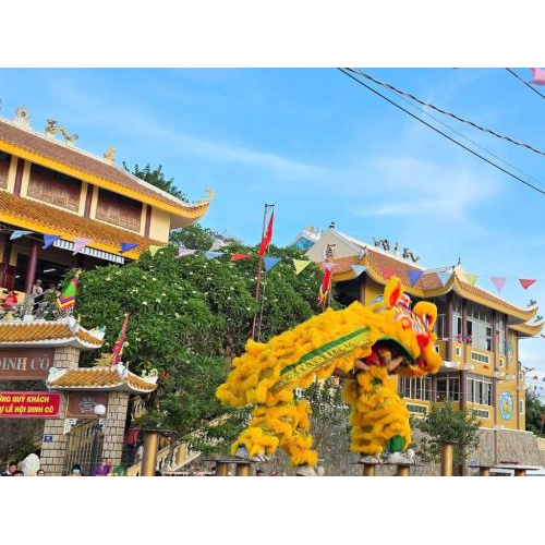 Các đoàn Lân biểu diễn
