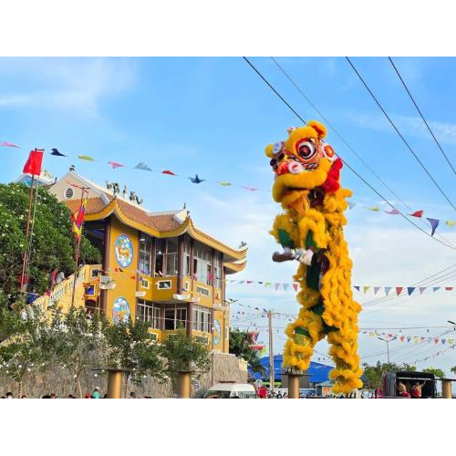 Hoạt Động Ngày 10/3 Lễ Hội Dinh Cô Long Hải Năm 2025