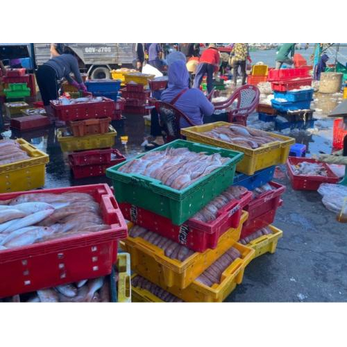 Huyện Long Đất | Phát Triển Giao Thông Làm Đòn Bẩy Phát Triển Kinh Tế
