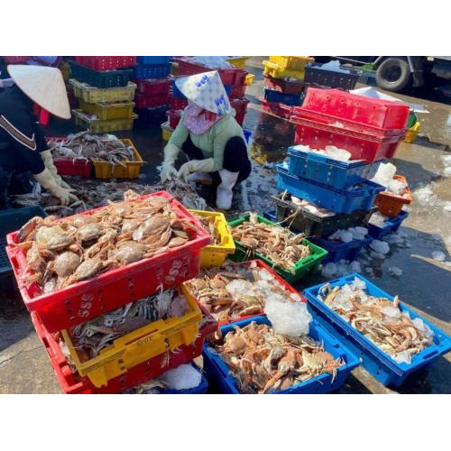 Huyện Long Đất | Phát Triển Giao Thông Làm Đòn Bẩy Phát Triển Kinh Tế