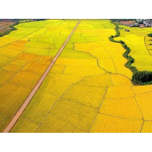 Huyện Long Đất | Phát Triển Giao Thông Làm Đòn Bẩy Phát Triển Kinh Tế