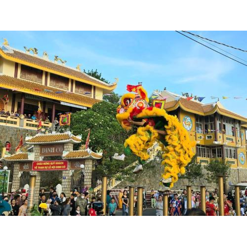 Các đoàn Lân biểu diễn