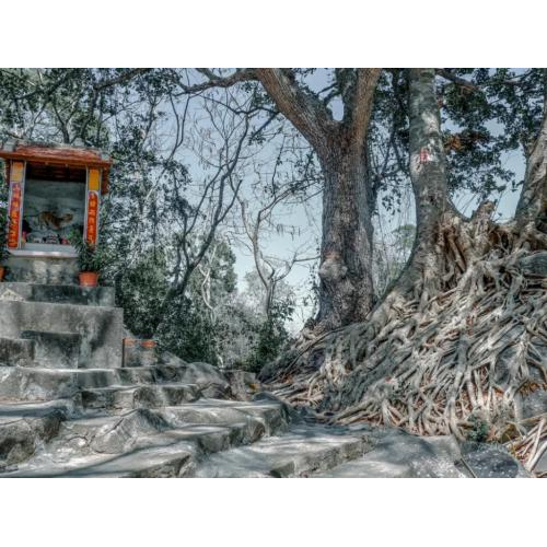 Núi Chân Tiên - Miếu Bà Cửu Thiên Huyền Nữ