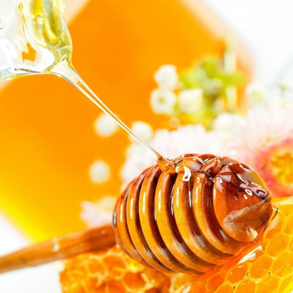 Các Loại Mật Ong Phổ Biến Hiện Nay