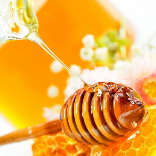 Các Loại Mật Ong Phổ Biến Hiện Nay
