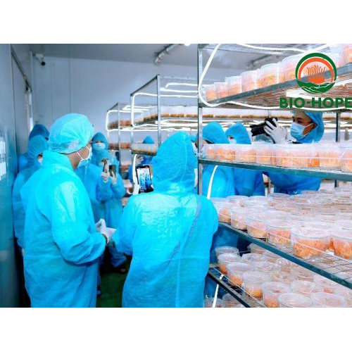 Tại Sao CEO Thanh Trà Tin Tưởng Chất Lượng Và Hiệu Quả Đông Trùng Hạ Thảo Bio Hope?