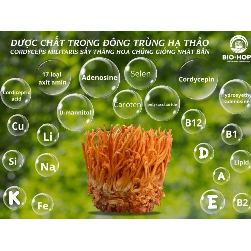 Trải Nghiệm Thực Tế Của Chị Mai Thanh - Hết Đau Cơ, Hết Đau Vai, Không Còn Nhức Mỏi