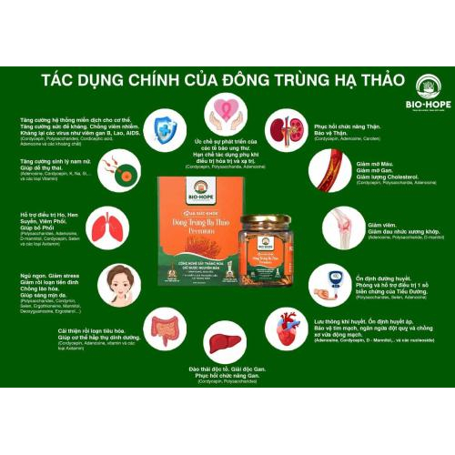 Bí Quyết Khỏe Mạnh Nhờ Đông Trùng Hạ Thảo Bio Hope Của Hoa Hậu Thần Tượng Minh Châu