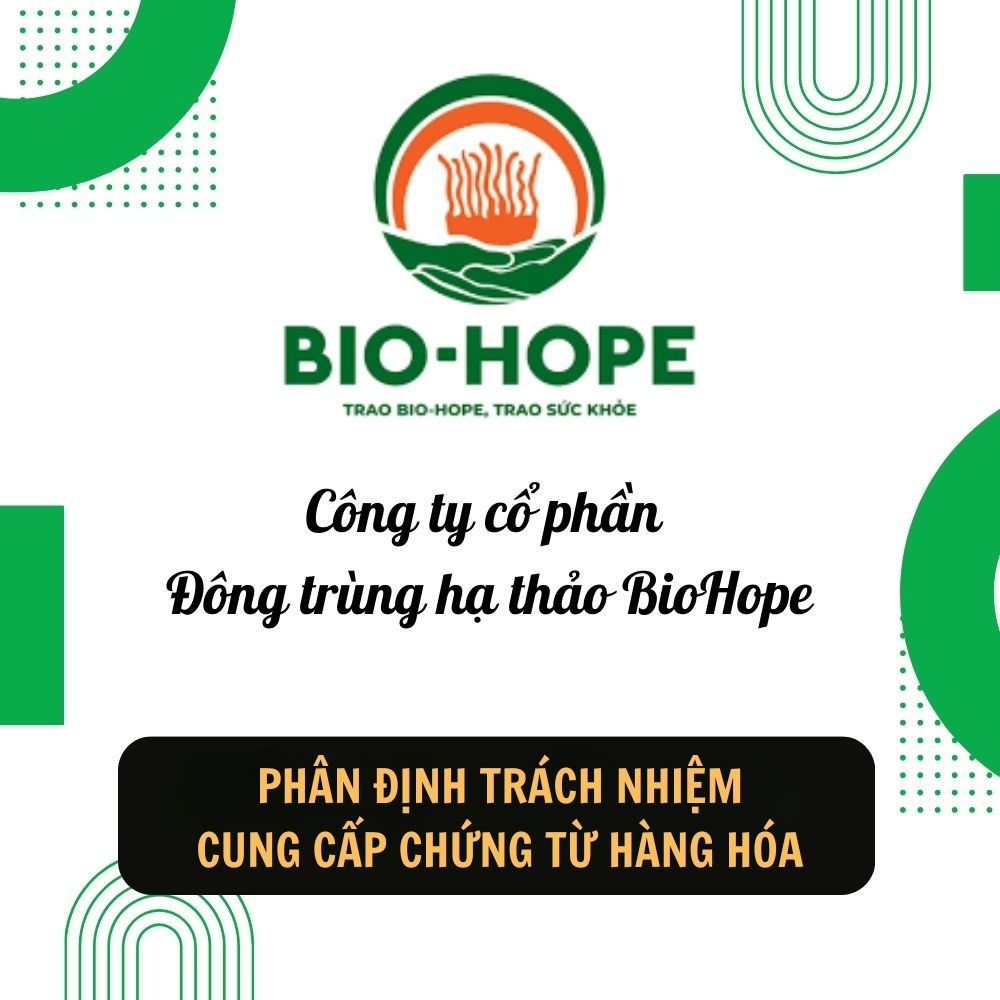 Phân Định Trách Nhiệm Của Thương Nhân, Tổ Chức Cung Ứng Dịch Vụ Logistics Về Cung Cấp Chứng Từ Hàng Hóa Trong Quá Trình Giao Nhận