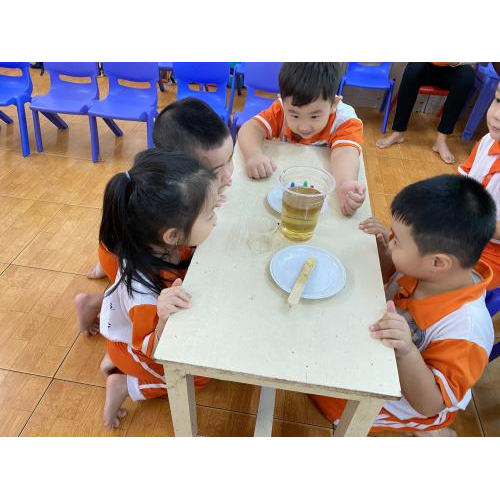 Thí Nghiệm Cơn Mưa Màu Sắc Cùng Buổi Dự Giờ Chuyên Môn Của Lớp Chồi 1