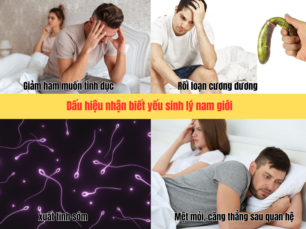 1. Suy giảm nội tiết tố nam (Testosterone)