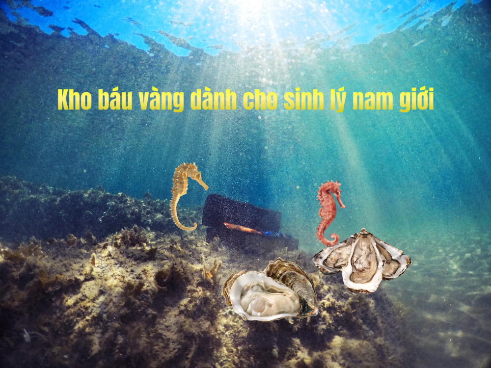 Hàu biển – cá ngựa: Bộ đôi vàng cho sinh lý nam giới
