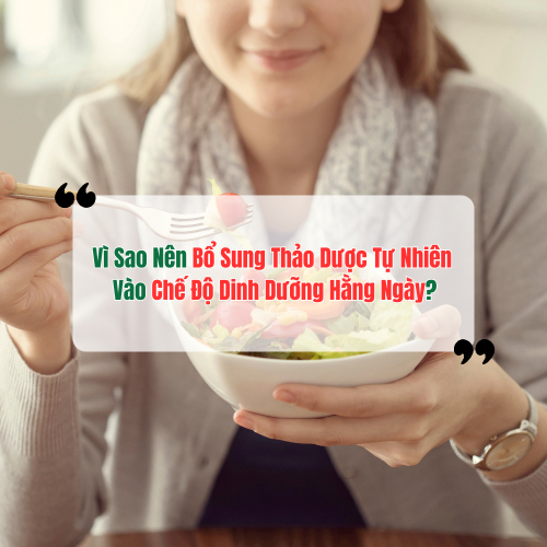 Vì Sao Nên Bổ Sung Thảo Dược Tự Nhiên Vào Chế Độ Dinh Dưỡng Hằng Ngày?