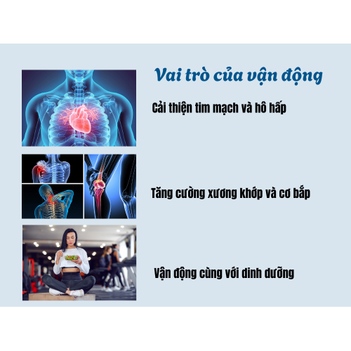 III. Vai trò của vận động trong duy trì sức khỏe