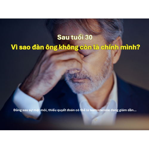 I. Giới thiệu