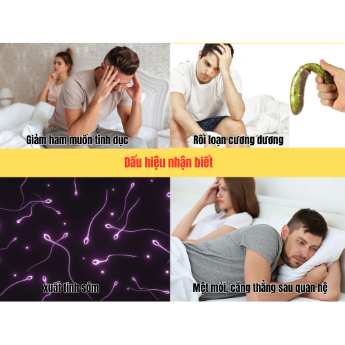 2. Dấu hiệu nhận biết
