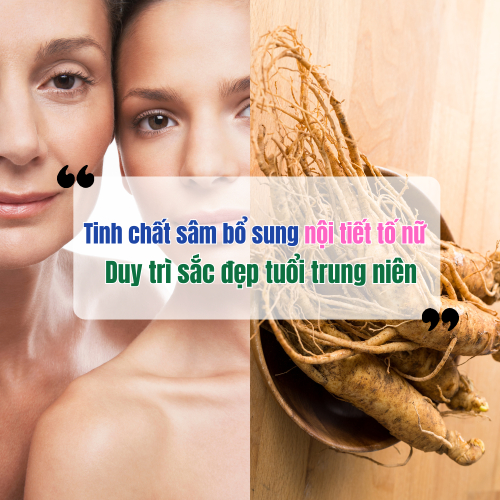 Tinh Chất Sâm Bổ Sung Nội Tiết Tố Nữ – Duy Trì Sắc Đẹp Tuổi Trung Niên